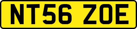 NT56ZOE
