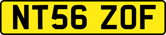 NT56ZOF