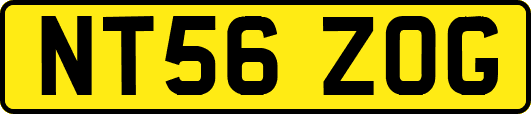 NT56ZOG