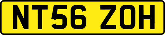NT56ZOH