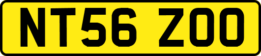 NT56ZOO