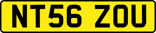 NT56ZOU
