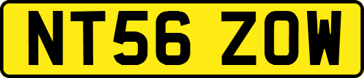 NT56ZOW