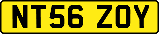 NT56ZOY