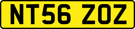 NT56ZOZ