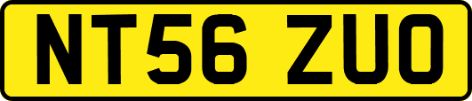 NT56ZUO