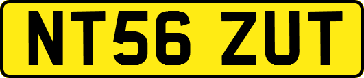 NT56ZUT