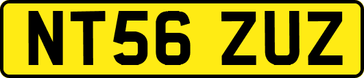 NT56ZUZ
