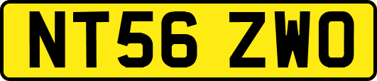 NT56ZWO