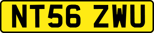 NT56ZWU