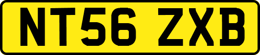 NT56ZXB
