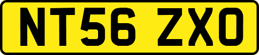 NT56ZXO