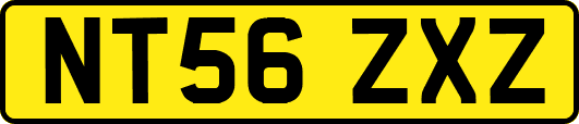 NT56ZXZ