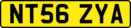NT56ZYA