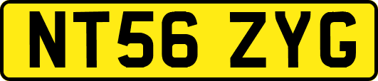NT56ZYG