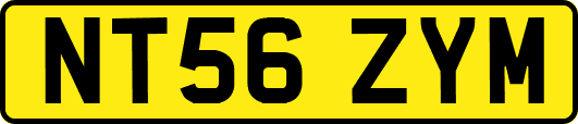 NT56ZYM