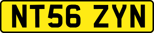 NT56ZYN