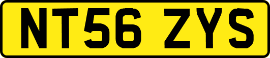 NT56ZYS