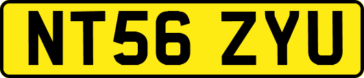 NT56ZYU