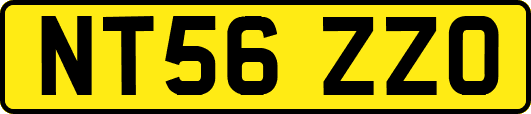 NT56ZZO