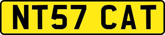 NT57CAT