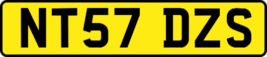 NT57DZS