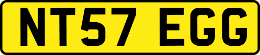 NT57EGG