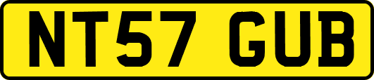 NT57GUB