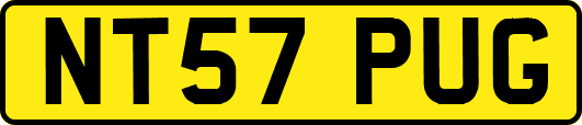 NT57PUG