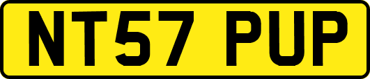 NT57PUP