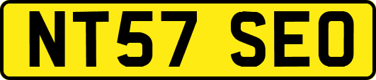 NT57SEO