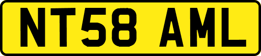 NT58AML