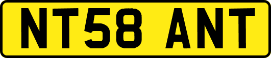 NT58ANT