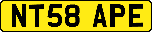NT58APE