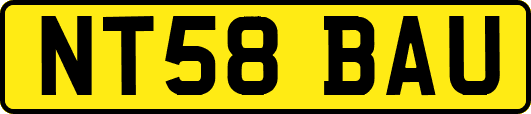 NT58BAU