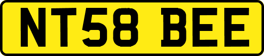 NT58BEE