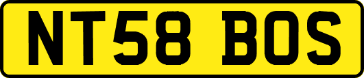 NT58BOS