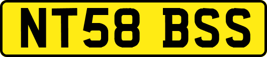 NT58BSS