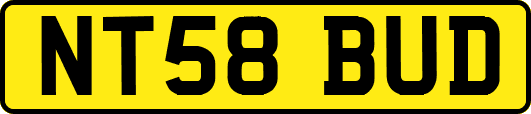 NT58BUD