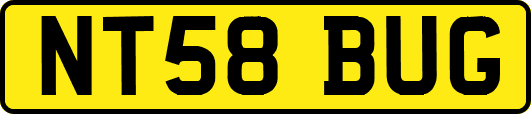 NT58BUG