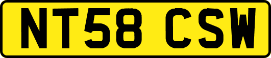 NT58CSW