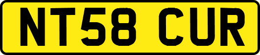 NT58CUR