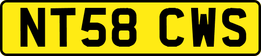 NT58CWS
