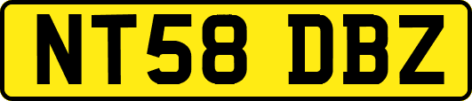 NT58DBZ