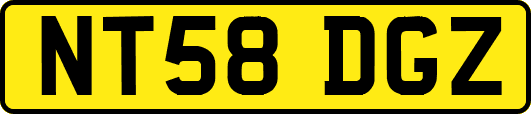 NT58DGZ