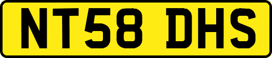 NT58DHS
