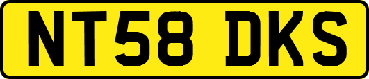NT58DKS