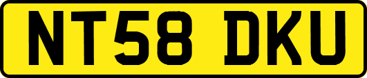 NT58DKU