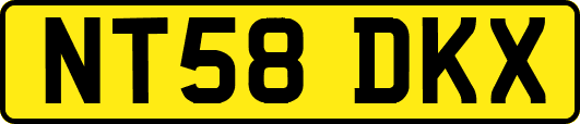 NT58DKX