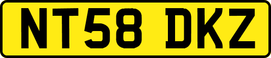 NT58DKZ